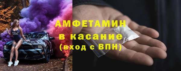 твердый Арсеньев