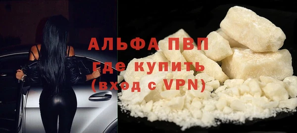 твердый Арсеньев