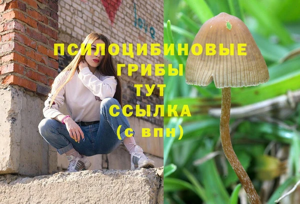 твердый Арсеньев