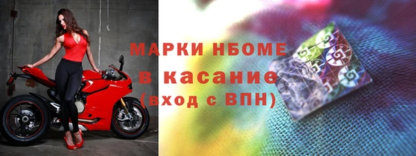 твердый Арсеньев